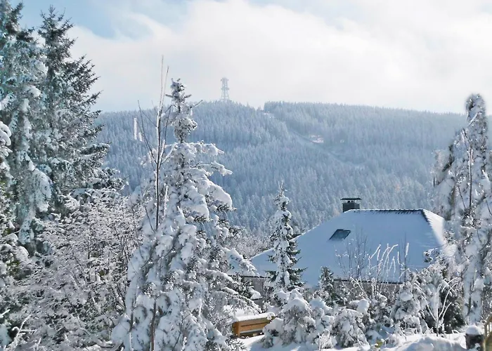 Premium-Ferienwohnungen Bergblick Im Haus Hopfe
