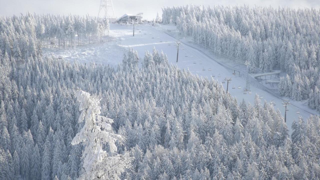 Apartment Premium-ferienwohnungen Bergblick Im Haus Hopfe *
