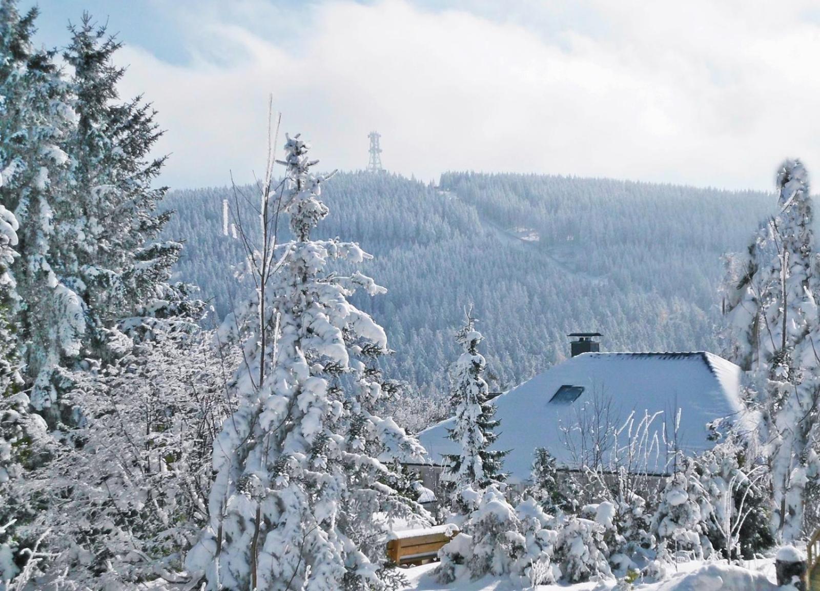 Apartment Premium-ferienwohnungen Bergblick Im Haus Hopfe *