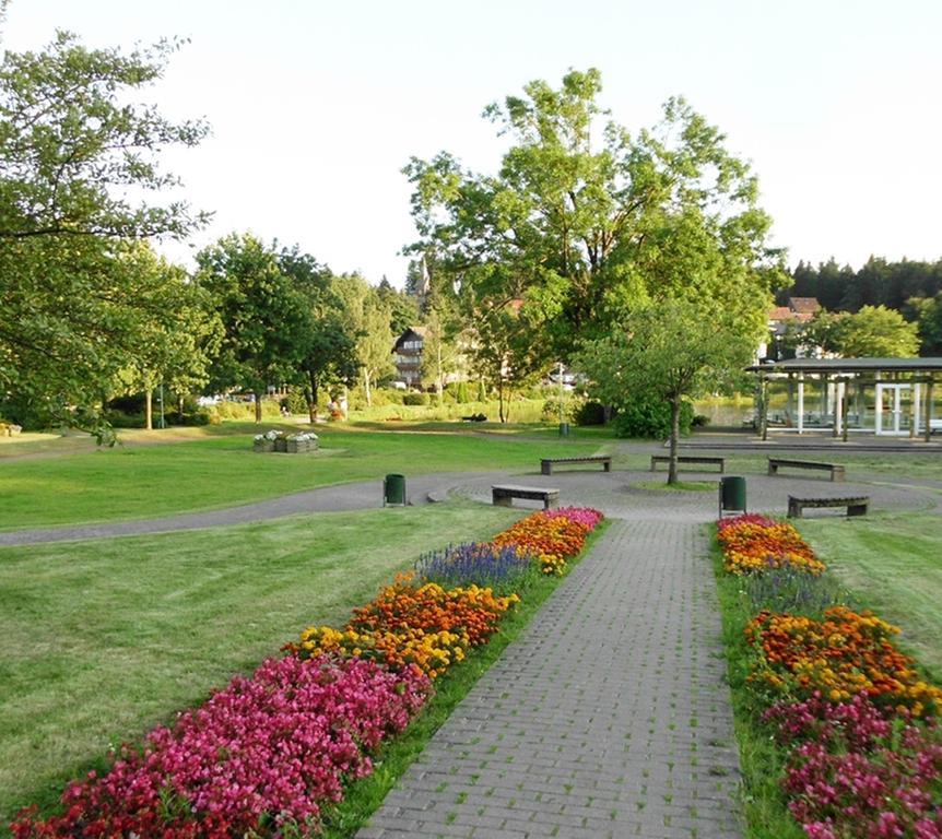 Apartment Premium-ferienwohnungen Bergblick Im Haus Hopfe