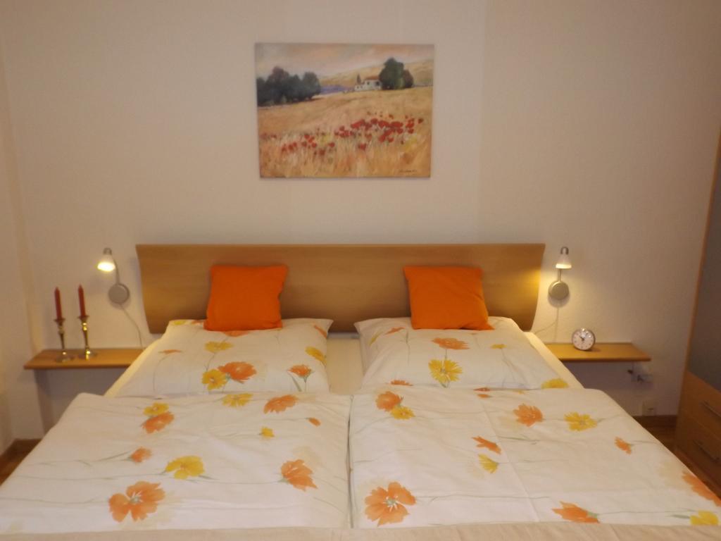 Apartment Premium-ferienwohnungen Bergblick Im Haus Hopfe *